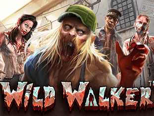 Wild Walker game thumbnail