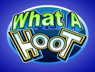 What A Hoot game thumbnail